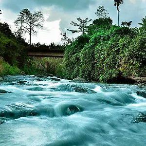 Rivertree Munnar